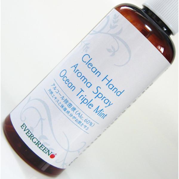 オーシャントリプルミント：手指消毒・携帯タイプ100ml【アルコール除菌液60%】Clean Han...