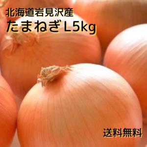 北海道産 玉ねぎ 秀品 Lサイズ 20kg （箱） : 生鮮卸売市場 - 通販