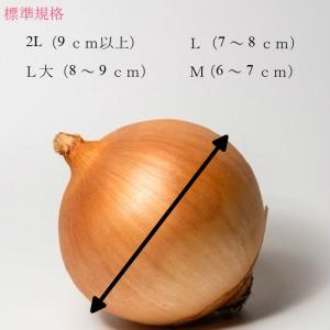 北海道産 たまねぎ Lサイズ 10kgの詳細画像2