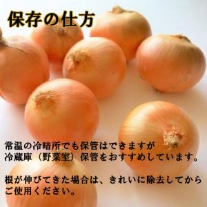 北海道産 たまねぎ Lサイズ 10kgの詳細画像4