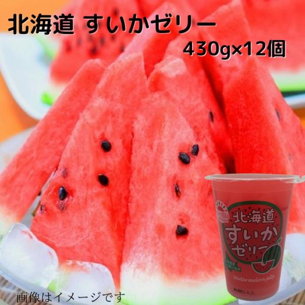 すいかゼリー430g×12個 送料無料 贈り物 プレゼント 北海道 北海道スイーツ 北海道果物 北海...