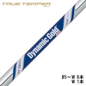 ダイナミックゴールド ミッド ツアーイシュー DG MID TOUR ISSUE X100