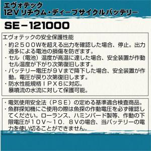 12V 100Ah Bluetooth内蔵リチ...の詳細画像4