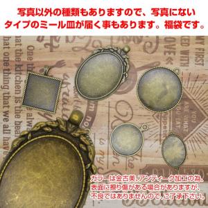 ミール皿 1枚お試し福袋 レジンパーツ アクセ...の詳細画像3