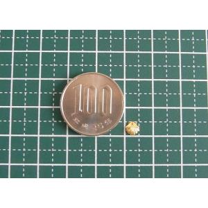 貝殻モチーフ金属パーツゴールド5mm 10個セ...の詳細画像4
