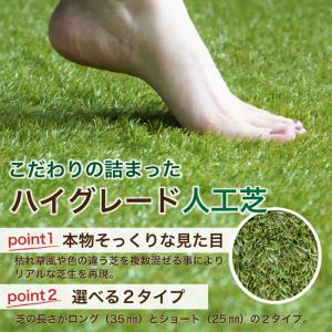 ジョイント 人工芝 30cm 10枚 ロング ...の詳細画像5