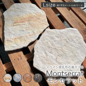 ex-ceracore_sastsml-ms-l