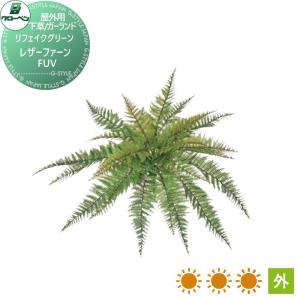 レザーファーン　FUV  人工植物    グローベン リフェイクグリーン  樹木・屋外用  A70TR201      完成品   【無料★特典対象】