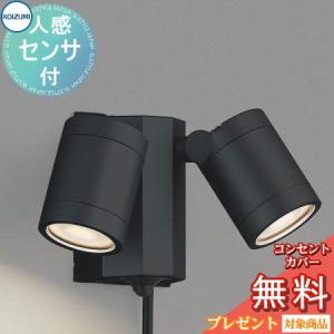 ライト　ODELICオーデリック LEDアームスポット OG254936 2個付 ライト ODELICオーデリック LEDアームスポット OG254936 2個付 蛍光灯