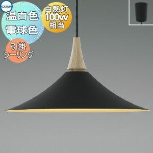 Panasonic（パナソニック） ペンダント 配線ダクト用 LGB16465K LED T