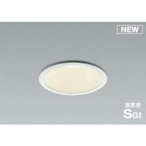 クラコ 厨房用耐熱防湿型照明 フードライト HOOD LIGHT LEDクリプトン