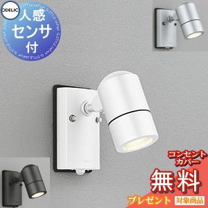 エクステリア 屋外 照明 ライト オーデリックODELIC スポットライト