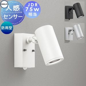 エクステリア 屋外 照明 ライト オーデリックODELIC スポットライト