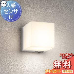 ２個セット　0254885R LEDライト 屋外　オーデリック　防雨　防水　照明 エクステリア 屋外 照明 ライト オーデリック ポーチライト 防水