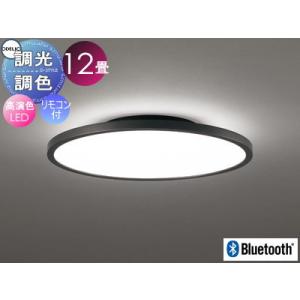 ODELIC（オーデリック） シャンデリア 【OC006487BR】【OC 006 487BR