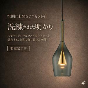 KOIZUMI（コイズミ） AP40510L ペンダントライト LED一体型 非調光 60W