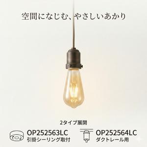 照明 おしゃれ パナソニック Panasonic ペンダント LGB15052U 直付
