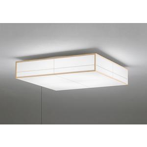 法人様限定】パナソニック NNN56060 LE1 LEDベースライト 配線ダクト