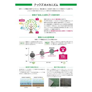 【無料★特典対象】 防草シート&ピンセット ナ...の詳細画像3
