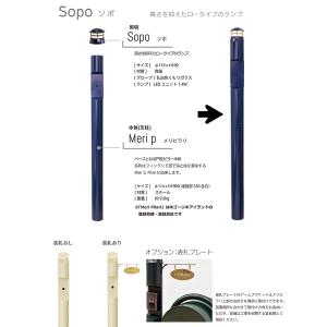 【無料★特典対象】 一戸建て用 宅配ボックス付...の詳細画像5