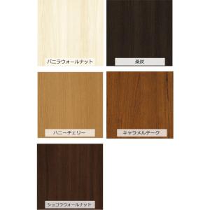 サンルーム 工事付 ソラリア テラス囲い 木調...の詳細画像1