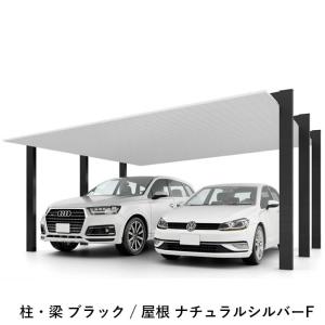 カーポート 2台用 工事付 カーポートSC 1...の詳細画像3