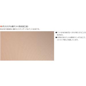 オーニング YKKAP パラソリア 幅2間×奥...の詳細画像4