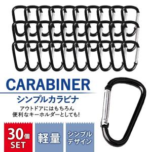 カラビナ 大量 セット 大容量 30個 小さい コンパクト