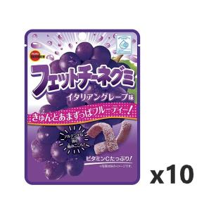 UHA味覚糖 忍者めし 鋼グレープ味 45g×10袋 噛みごたえ最強 ハードグミ