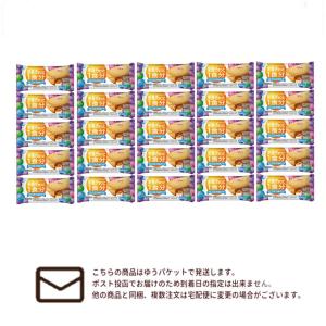 メール便・送料無料　江崎グリコ バランスオンminiケーキ チーズケーキ 20個