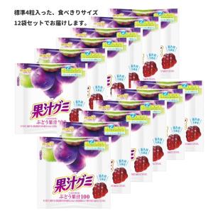 果汁グミ 明治 ぶどう 54g×10袋入×(2ケース)｜ 送料無料 : MISONOYA