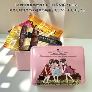 サン・ミッシェル St.Michel アーモンドケーキ 26個入り : 亀山商店