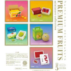 プレミアムフルーツ ミニチュアコレクション(BOX) 12個入｜excel-unit