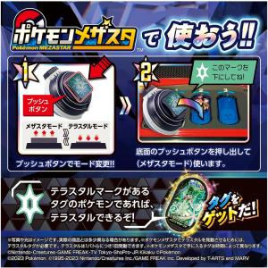 ポケットモンスター ポケモン テラスタルオーブの詳細画像1