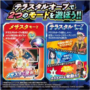 ポケットモンスター ポケモン テラスタルオーブの詳細画像2