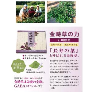 金時草の力 30袋入 産学連携 青汁 ポリフェ...の詳細画像2