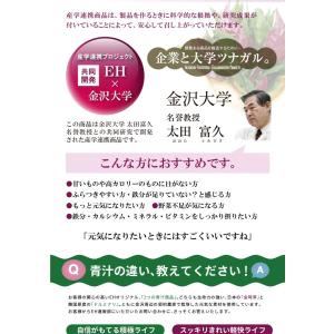 金時草の力 30袋入 産学連携 青汁 ポリフェ...の詳細画像3