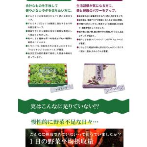 金時草の力 30袋入 産学連携 青汁 ポリフェ...の詳細画像4