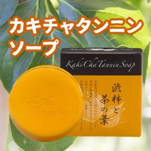 石鹸 柿茶 100g カキチャ タンニンソープ 石けん 加齢臭 体臭 汗 ニオイ 皮脂 柿渋 茶カテキン ポリフェノール 消臭効 eh EH エクセル エクセルヒューマン｜excelhuman-net