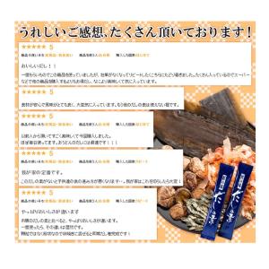 匠のだしの素 90包 匠のだし だし 出汁 だ...の詳細画像5