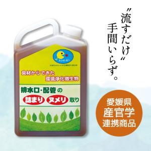 排水口 配管の詰まり ヌメリ取り 洗浄剤 えひめAI−1 アイイチ 酵母菌 乳酸菌 納豆菌 糖蜜 天然ミネラル水 ＥＣＯ eh EH エクセル エクセルヒューマン