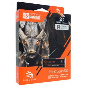EXCERIA（KIOXIA） 爆買キオクシア EXCERIA with Heatsink SSD-CK1