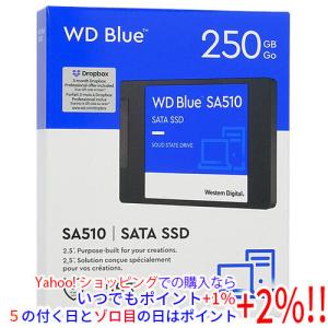 Western Digital WDS500G3B0A ［WD Blue SA510 2.5インチ 7mm SATA