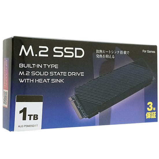 ALLONE M.2 SSD ALG-P5M2SD1T 1TB [管理:1000028013]