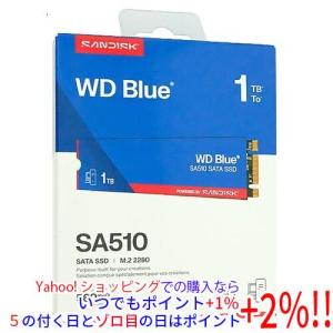 Western Digital WDS500G3B0B ［WD Blue SA510 M.2 Type2280 SATA