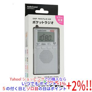 RAD-P300S-S （シルバー）の商品画像