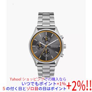 SKAGEN（スカーゲン） 腕時計 メンズ MELLEM 三針 グレー ステンレス
