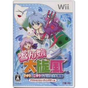 雪ん娘大旋風 〜さゆきとこゆきのひえひえ大騒動〜 Wii [管理:1300009597]｜excellar-plus