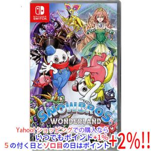 SNOWBROS. NICK & TOM SPECIAL(スノーブラザーズ スペシャル) - Switch