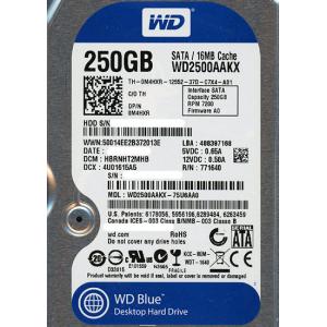 Western Digital製HDD WD2500AAKX 250GB SATA600 7200 [管理:2034476]｜エクセラープラス